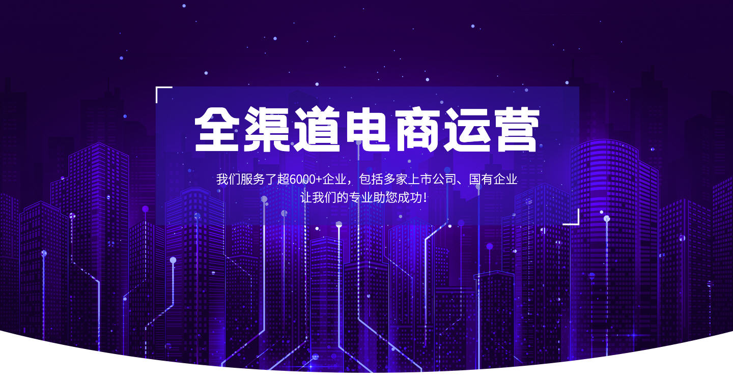全渠道電商運(yùn)營(yíng)